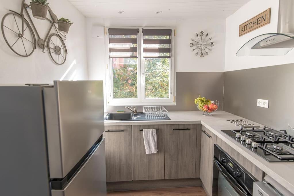 Appartement NEW L'industr'ILL au cœur De l'Alsace à Sélestat Extérieur photo