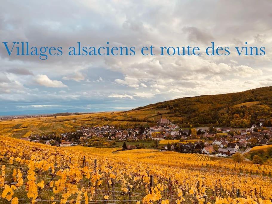 Appartement NEW L'industr'ILL au cœur De l'Alsace à Sélestat Extérieur photo