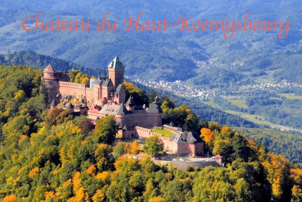 Appartement NEW L'industr'ILL au cœur De l'Alsace à Sélestat Extérieur photo